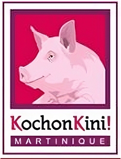 logo kochon kini