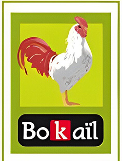 logo BO K AIL